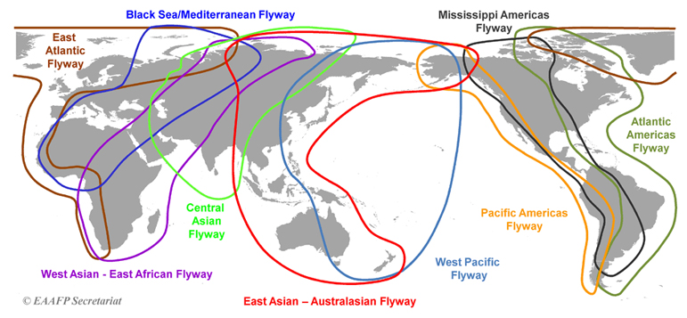 Source: EAAFP Secretariat
